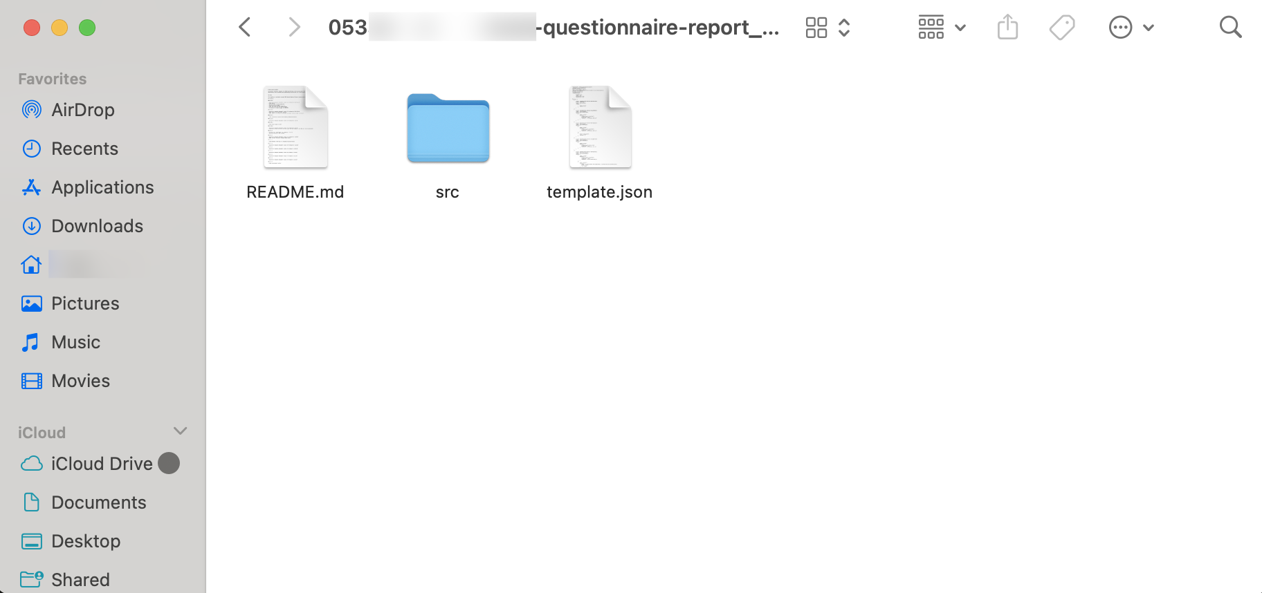 dsw_questionnaire_struktura